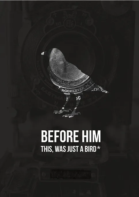 Advertising Campaign, Creative